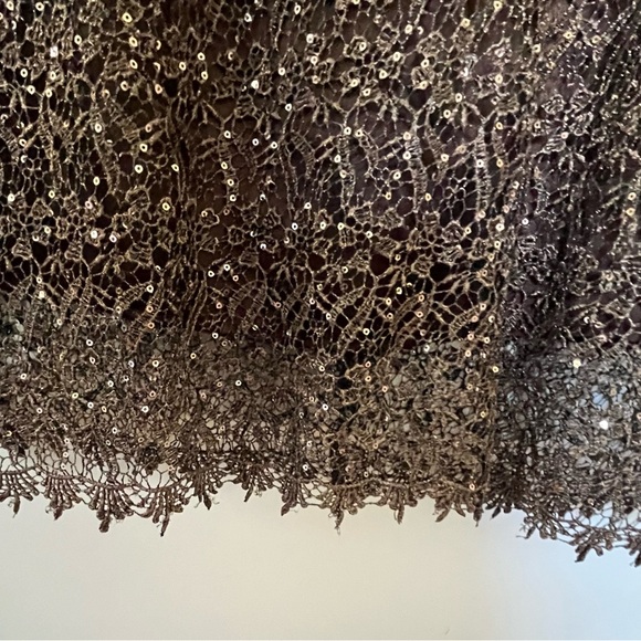 Marina chocolate brown sequined lined laced sheath dress short sleeve size 10 - Picture 4 of 6